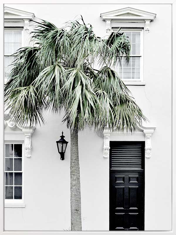 Palm Street Canvas Art Print