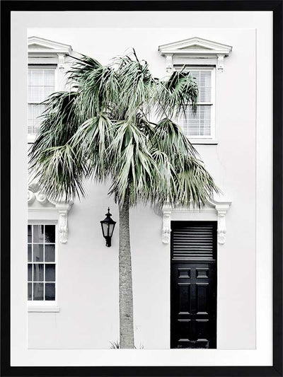 Palm Street Poster Framed Art Print
