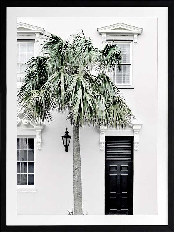 Palm Street Poster Framed Art Print