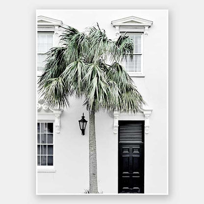 Palm Street Unframed Art Print