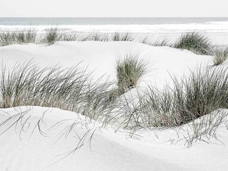 White Sands Canvas Art Print