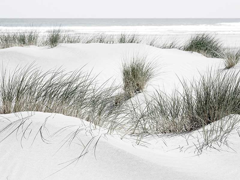 White Sands Canvas Art Print