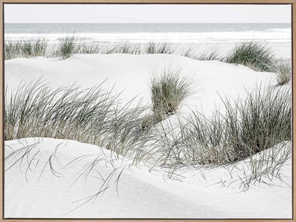 White Sands Canvas Art Print