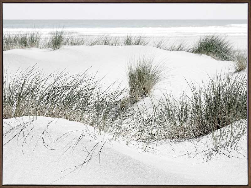 White Sands Canvas Art Print