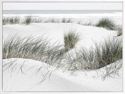 White Sands Canvas Art Print