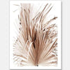 The Dry Humour Unframed Art Print by Urban Road features a striking close-up of overlapping dried fan palm fronds in soft beige and light brown tones on a white background, creating an elegant natural botanical artwork.