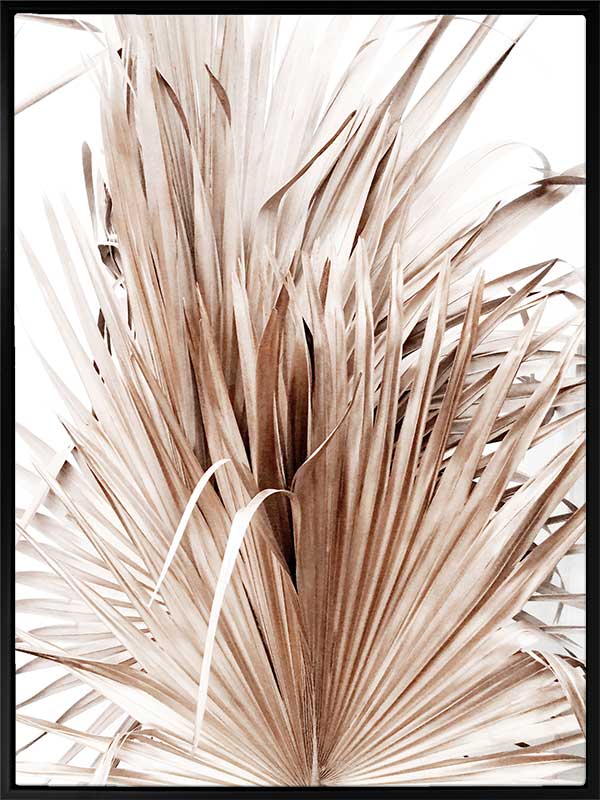 Dry Humour Canvas Art Print