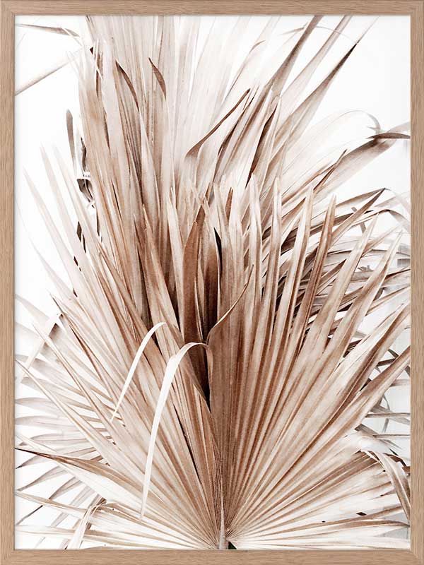 Dry Humour Poster Framed Art Print