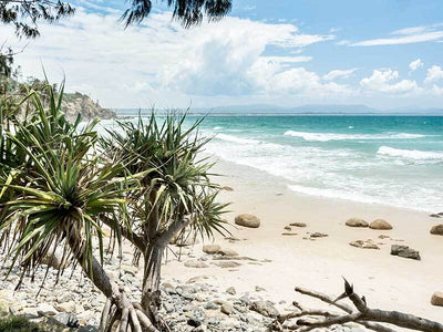 Welcome to Paradise Canvas Art Print