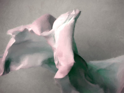 Bloom II Canvas Art Print | Lifestyle