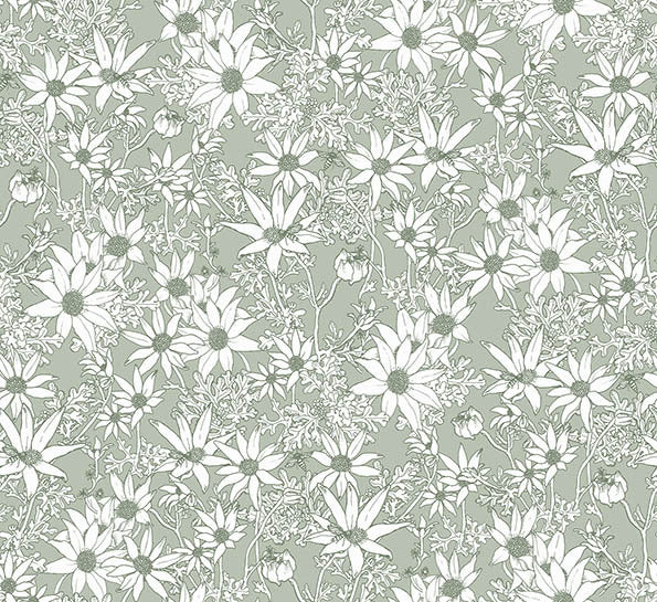 Flannel Flowers Wallpaper