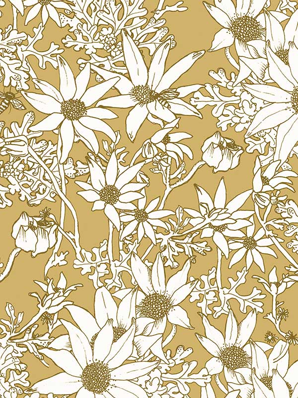 Flannel Flowers Wallpaper