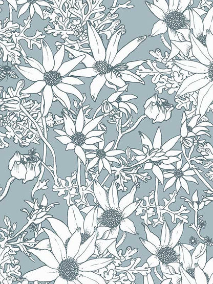 Flannel Flowers Wallpaper