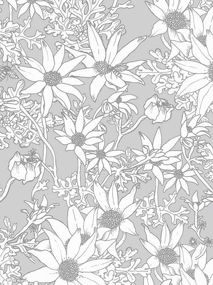 Flannel Flowers Wallpaper