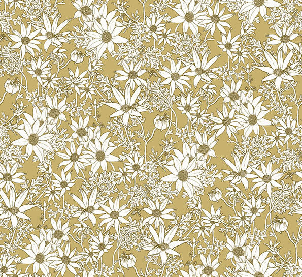 Flannel Flowers Wallpaper