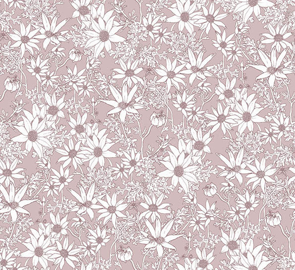 Flannel Flowers Wallpaper