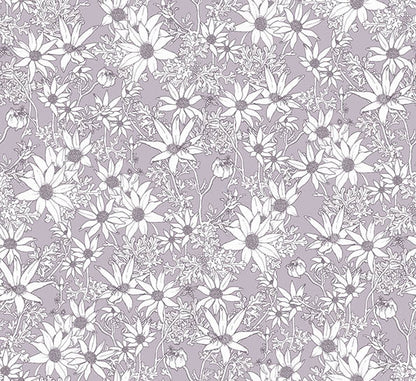 Flannel Flowers Wallpaper