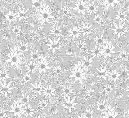 Flannel Flowers Wallpaper