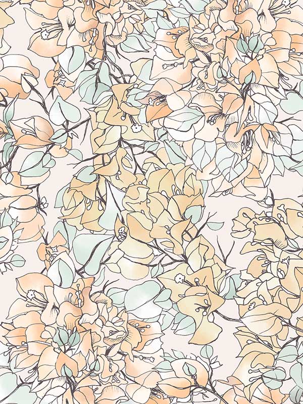 Bougainvillea Wallpaper