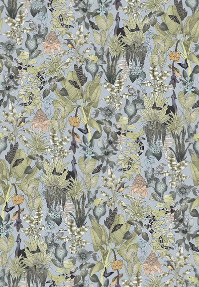 Rainforest Wallpaper