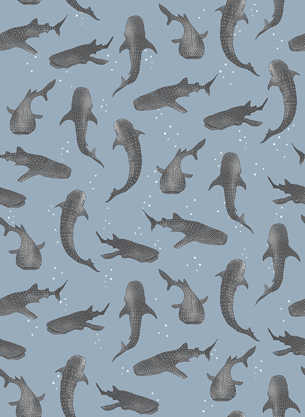 Whalesharks Wallpaper