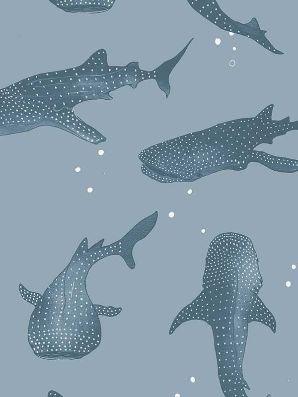 Whalesharks Wallpaper