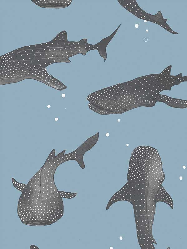 Whalesharks Wallpaper