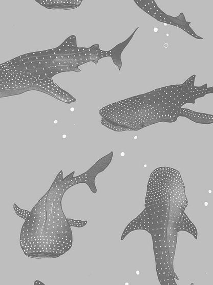 Whalesharks Wallpaper