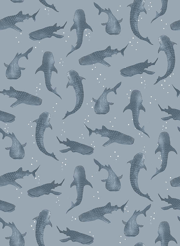 Whalesharks Wallpaper