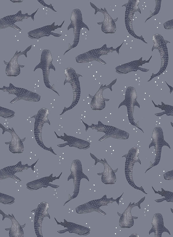 Whalesharks Wallpaper