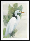 Wandering Egret I Framed Art Print