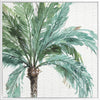 Date Palm I Canvas Art Print