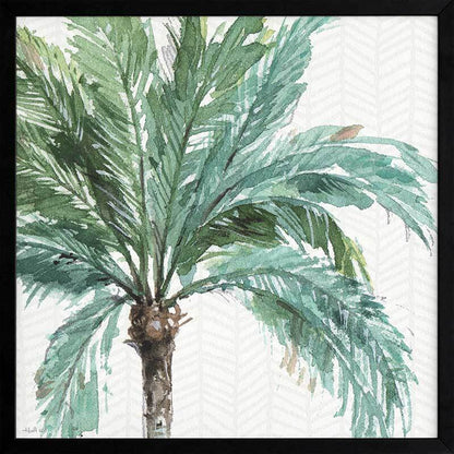 Date Palm I Framed Art Print