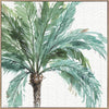 Date Palm I Canvas Art Print