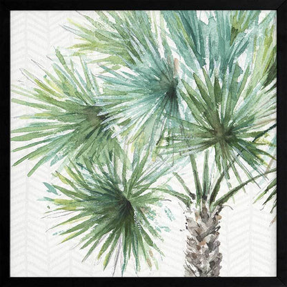 Date Palm II Framed Art Print