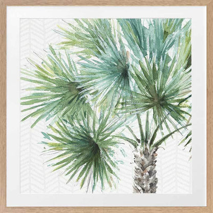 Date Palm II Framed Art Print