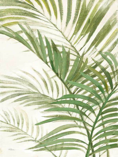 Areca Palm I Canvas Art Print