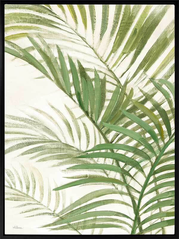 Areca Palm I Canvas Art Print