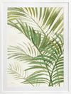 Areca Palm I Framed Art Print