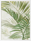 Areca Palm I Framed Art Print