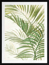 Areca Palm I Framed Art Print