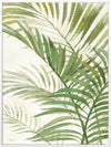 Areca Palm I Canvas Art Print