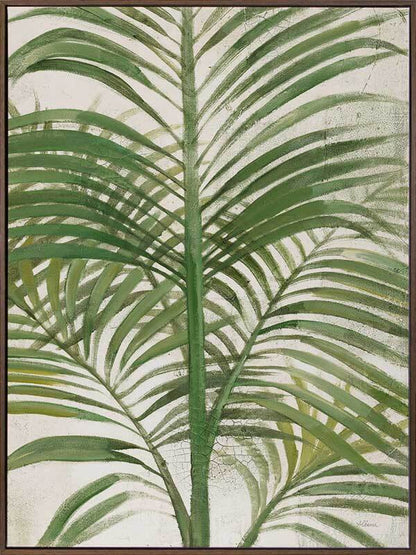 Areca Palm II Canvas Art Print