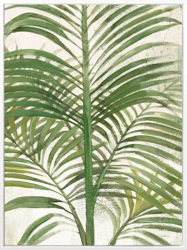 Areca Palm II Canvas Art Print