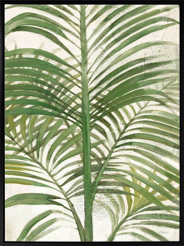 Areca Palm II Canvas Art Print