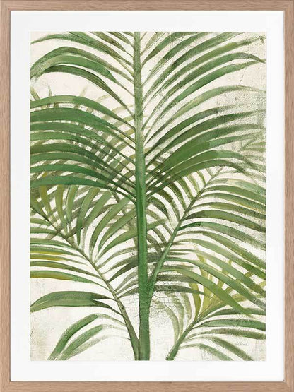 Areca Palm II Framed Art Print