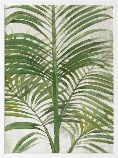 Areca Palm II Framed Art Print