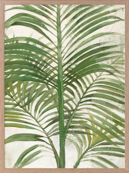 Areca Palm II Framed Art Print