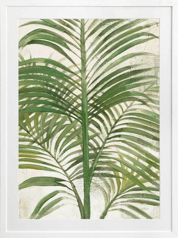 Areca Palm II Framed Art Print