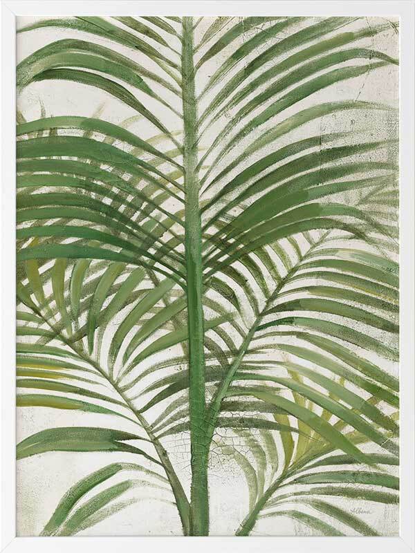 Areca Palm II Framed Art Print